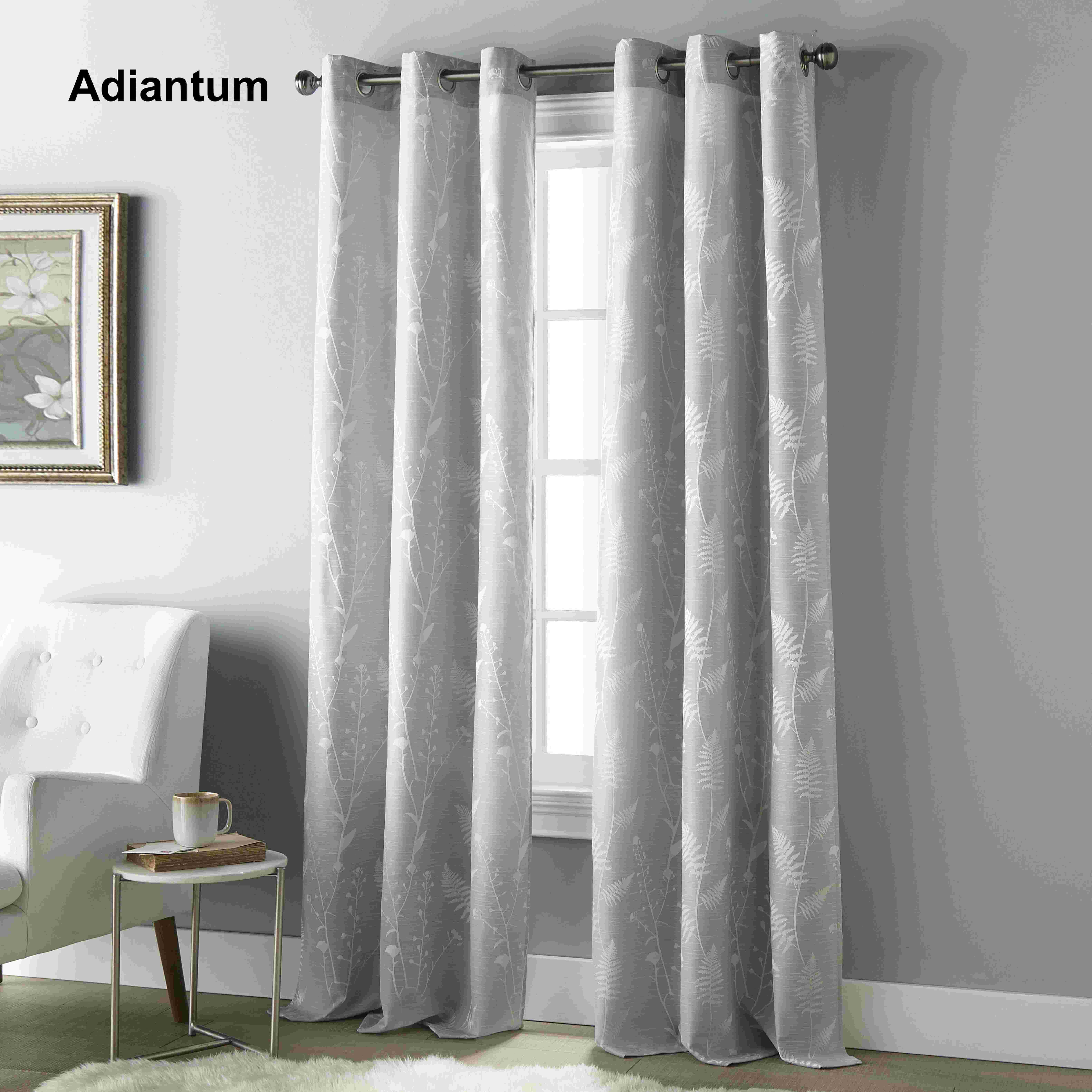 Adiantum.jpg